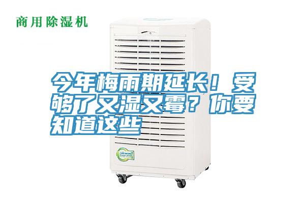 今年梅雨期延長！受夠了又濕又霉？你要知道這些