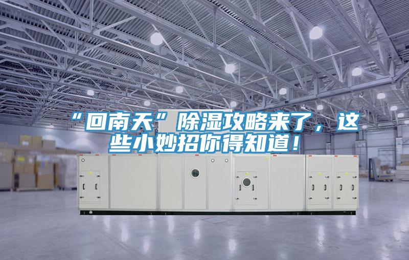 “回南天”除濕攻略來了，這些小妙招你得知道！