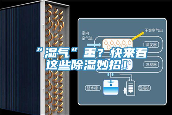 “濕氣”重？快來看這些除濕妙招！