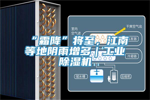 “霜降”將至，江南等地陰雨增多｜工業(yè)除濕機(jī)