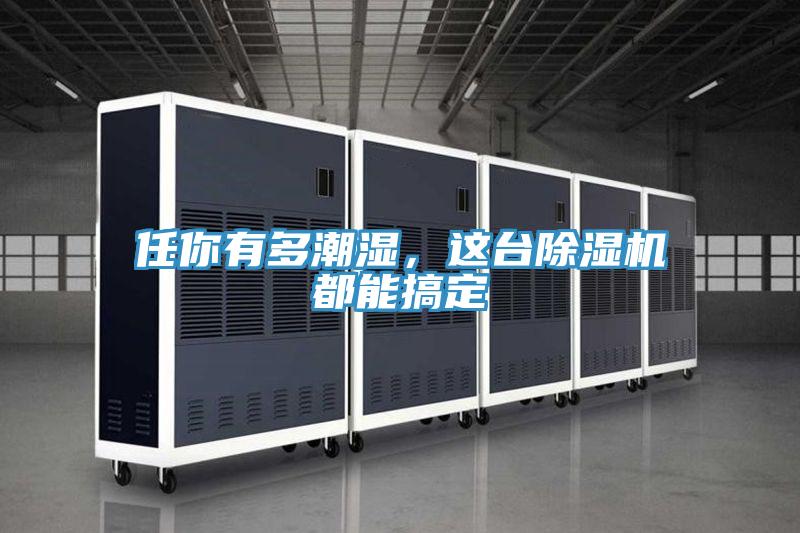 任你有多潮濕，這臺(tái)除濕機(jī)都能搞定