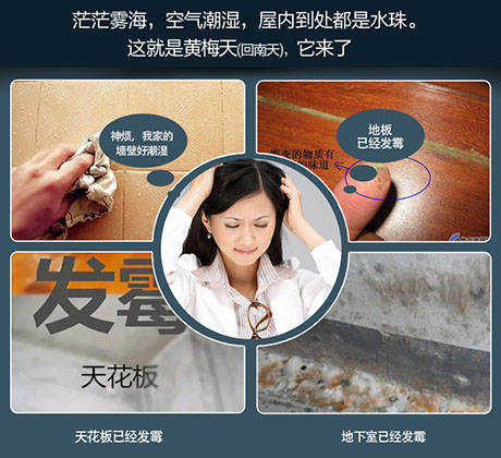 家庭別墅的地下室、衛(wèi)生間、儲(chǔ)物室等該如何除濕？