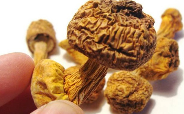 巴西菇、姬松茸烘干機(jī)-怎樣烘干色澤好且菇體褶片完整？