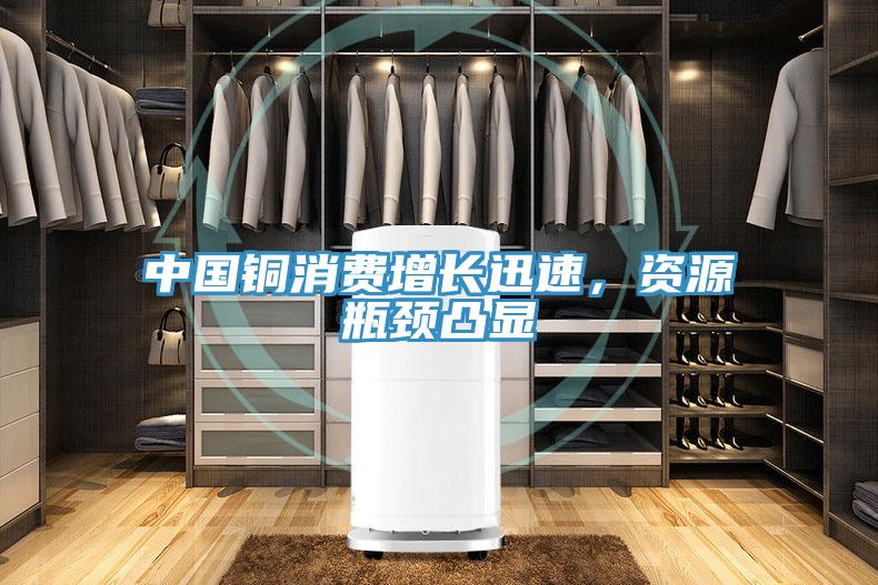 中國銅消費增長迅速，資源瓶頸凸顯