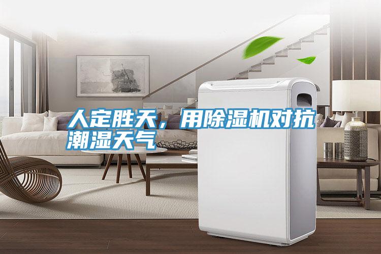 人定勝天，用除濕機對抗潮濕天氣