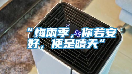 “梅雨季，你若安好，便是晴天”