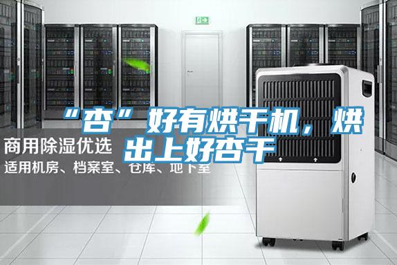 “杏”好有烘干機(jī)，烘出上好杏干