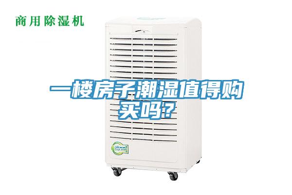一樓房子潮濕值得購(gòu)買嗎？
