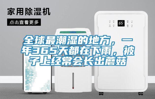 全球最潮濕的地方，一年365天都在下雨，被子上經(jīng)常會長出蘑菇
