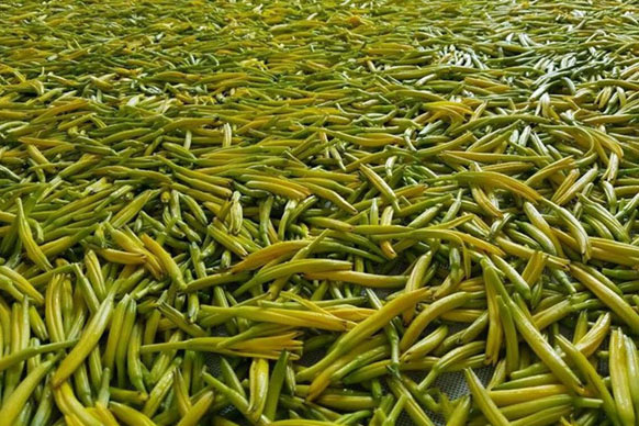 無(wú)硫金針菜烘干如何保持品相？不發(fā)黑？_除濕機(jī)廠家