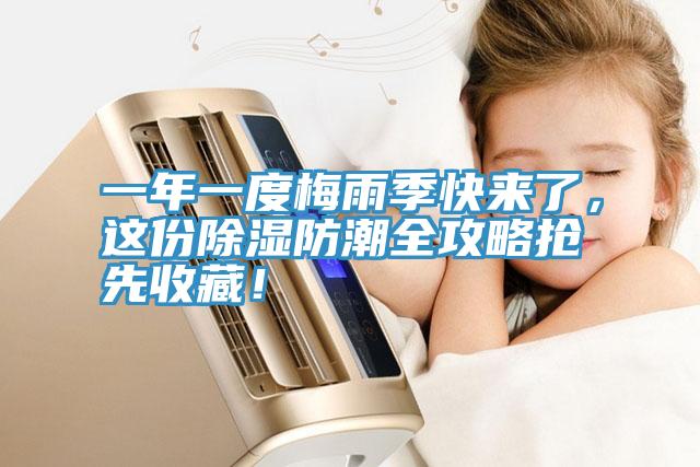 一年一度梅雨季快來了，這份除濕防潮全攻略搶先收藏！