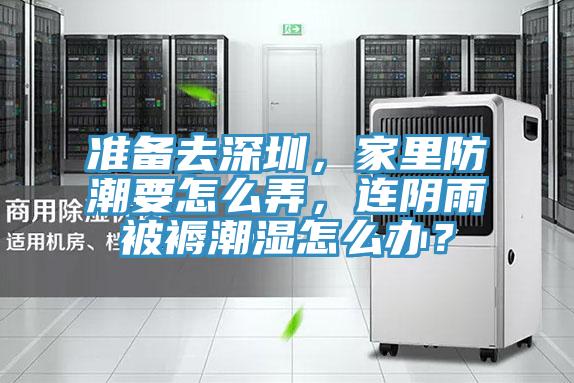 準(zhǔn)備去深圳，家里防潮要怎么弄，連陰雨被褥潮濕怎么辦？