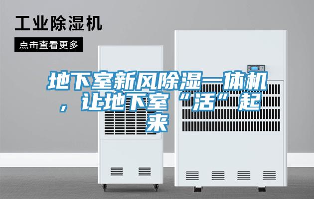 地下室新風(fēng)除濕一體機(jī)，讓地下室“活”起來