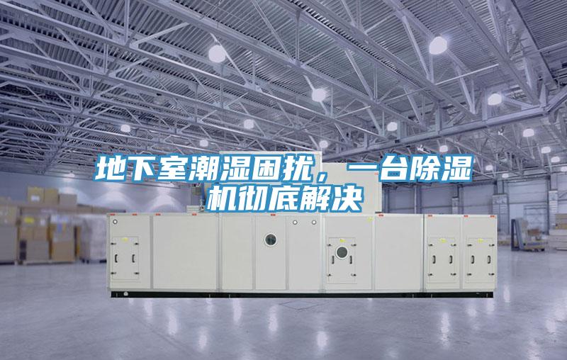 地下室潮濕困擾，一臺(tái)除濕機(jī)徹底解決