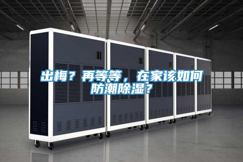 出梅？再等等，在家該如何防潮除濕？