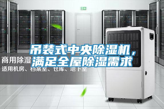 吊裝式中央除濕機(jī)，滿足全屋除濕需求