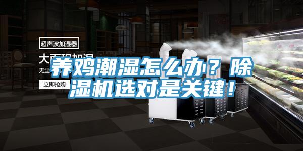 養(yǎng)雞潮濕怎么辦？除濕機(jī)選對(duì)是關(guān)鍵！