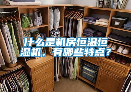 什么是機(jī)房恒溫恒濕機(jī)，有哪些特點(diǎn)？