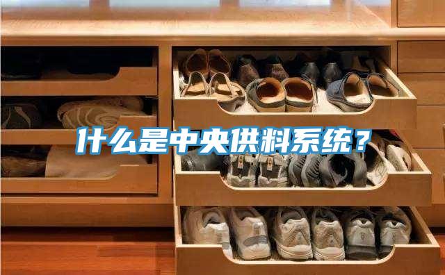 什么是中央供料系統(tǒng)？
