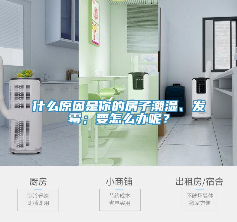 什么原因是你的房子潮濕、發(fā)霉；要怎么辦呢？