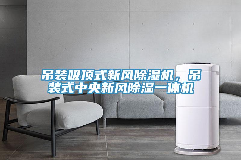 吊裝吸頂式新風(fēng)除濕機(jī)，吊裝式中央新風(fēng)除濕一體機(jī)