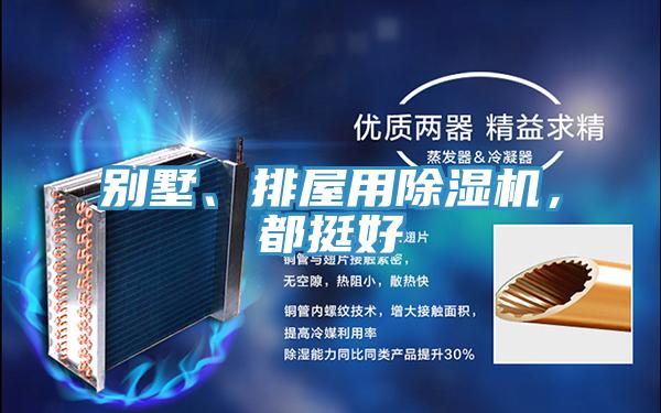 別墅、排屋用除濕機(jī)，都挺好