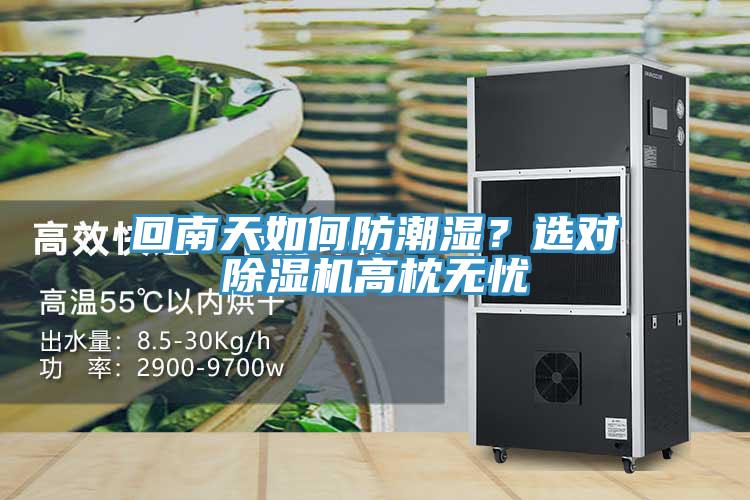 回南天如何防潮濕？選對除濕機高枕無憂