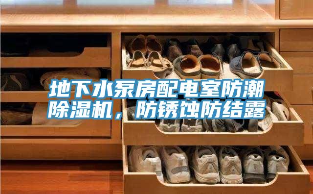 地下水泵房配電室防潮除濕機(jī)，防銹蝕防結(jié)露