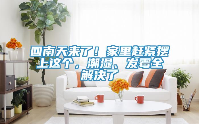 回南天來了！家里趕緊擺上這個(gè)，潮濕、發(fā)霉全解決了