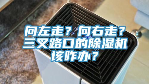 向左走？向右走？三叉路口的除濕機該咋辦？