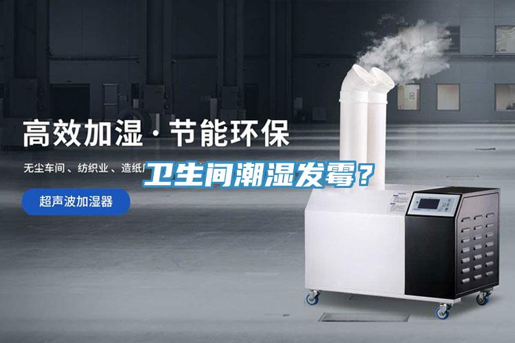 衛(wèi)生間潮濕發(fā)霉？