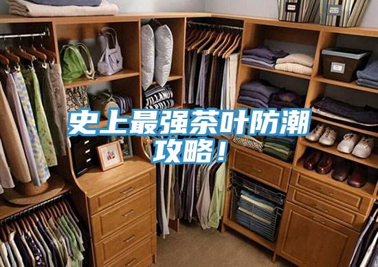 史上最強茶葉防潮攻略！