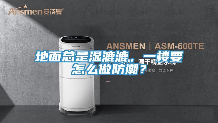 地面總是濕漉漉，一樓要怎么做防潮？
