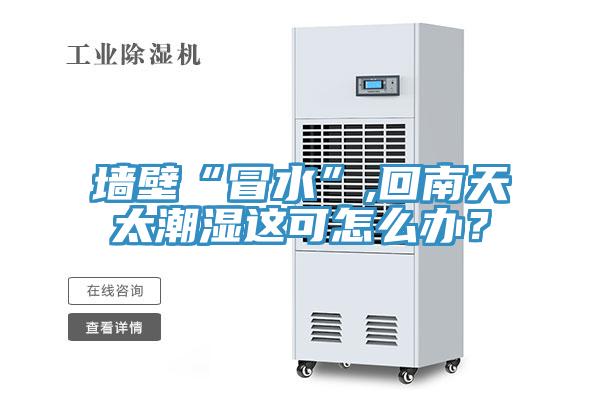 墻壁“冒水”,回南天太潮濕這可怎么辦？