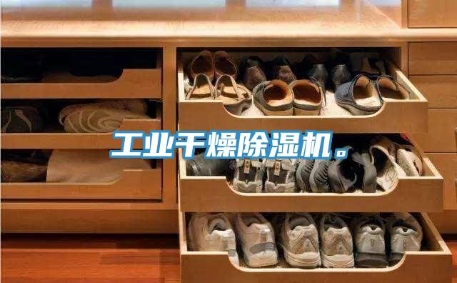 工業(yè)干燥除濕機。