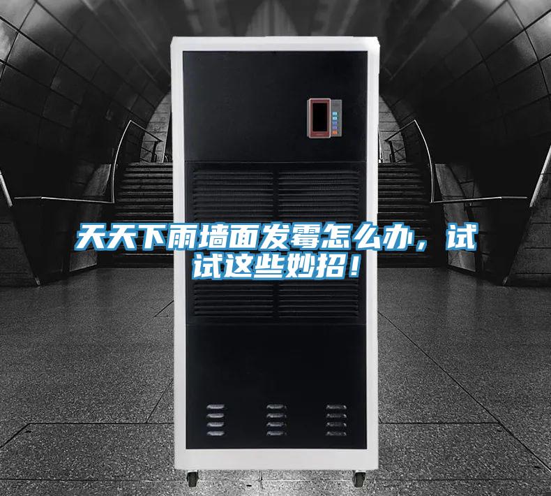 天天下雨墻面發(fā)霉怎么辦，試試這些妙招！