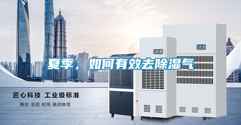 夏季，如何有效去除濕氣