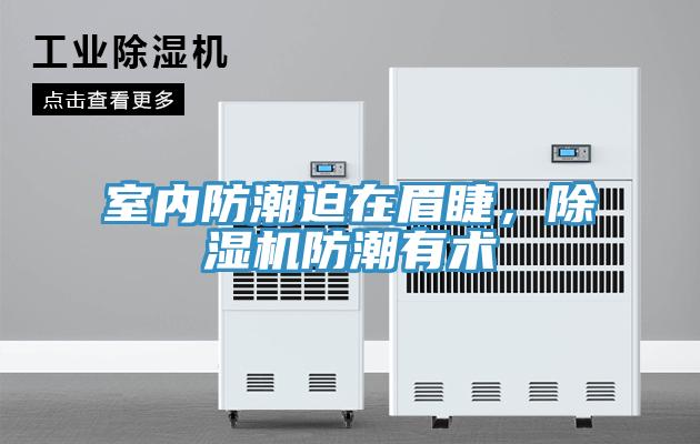 室內防潮迫在眉睫，除濕機防潮有術