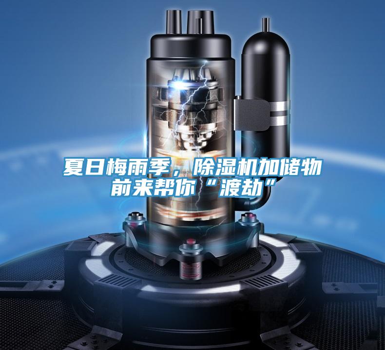 夏日梅雨季，除濕機加儲物前來幫你“渡劫”