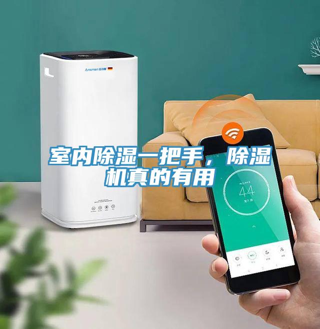 室內除濕一把手，除濕機真的有用