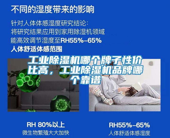 工業(yè)除濕機(jī)哪個牌子性價比高，工業(yè)除濕機(jī)品牌哪個靠譜