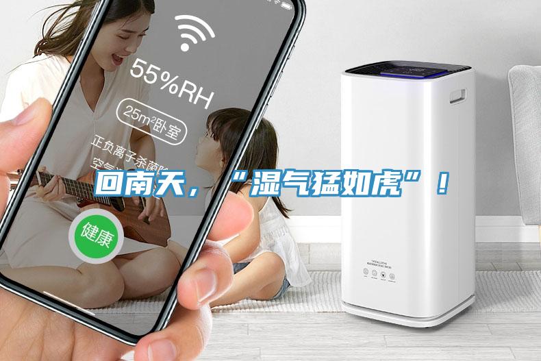 回南天，“濕氣猛如虎”！