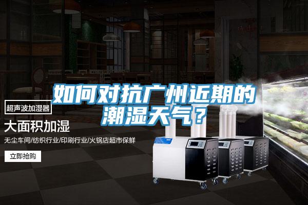 如何對(duì)抗廣州近期的潮濕天氣?