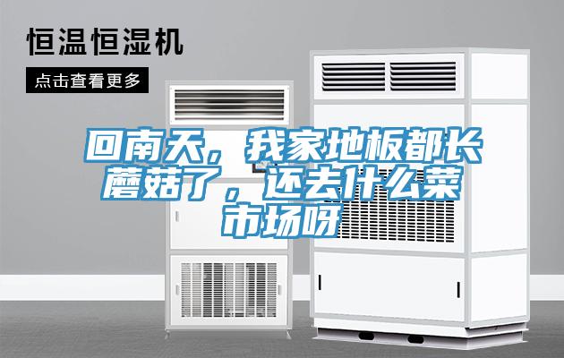 回南天，我家地板都長蘑菇了，還去什么菜市場呀