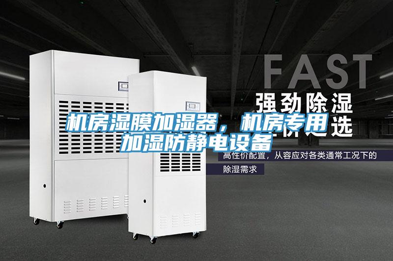 機(jī)房濕膜加濕器，機(jī)房專用加濕防靜電設(shè)備