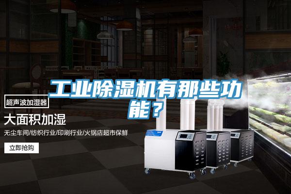工業(yè)除濕機有那些功能？