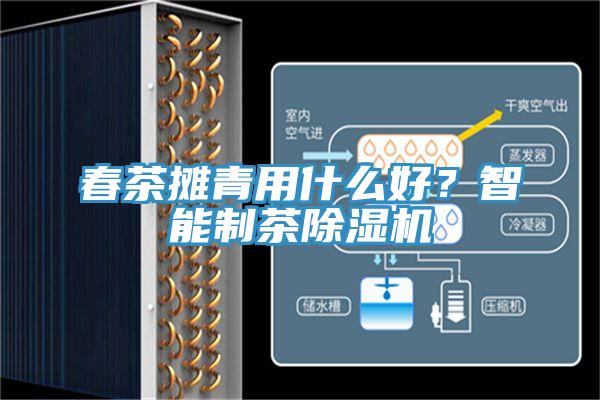 春茶攤青用什么好？智能制茶除濕機(jī)