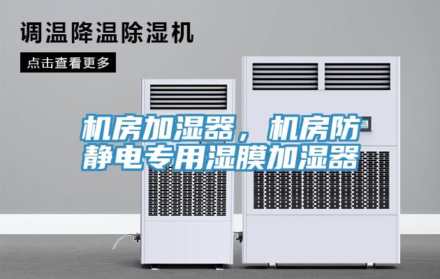機(jī)房加濕器，機(jī)房防靜電專用濕膜加濕器