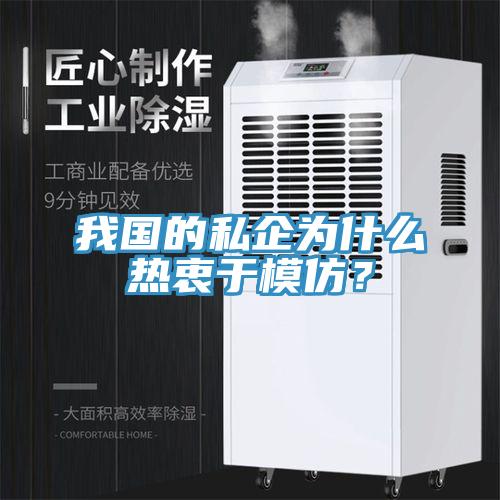 我國的私企為什么熱衷于模仿？