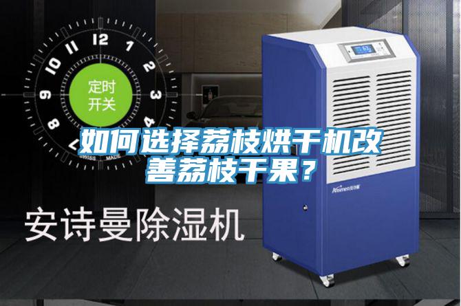 如何選擇荔枝烘干機改善荔枝干果？